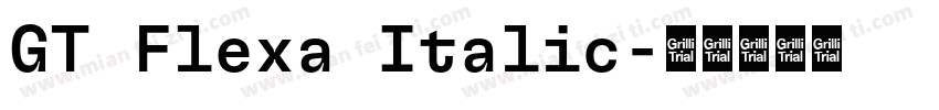GT Flexa Italic字体转换